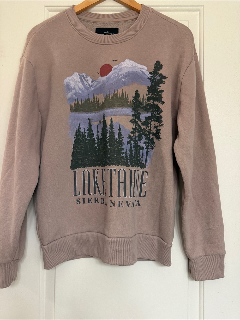 Hollister Lake Tahoe Graphic Crewneck - Mauve with Forest Print